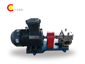 不鏽鋼保（bǎo）溫齒（chǐ）輪泵