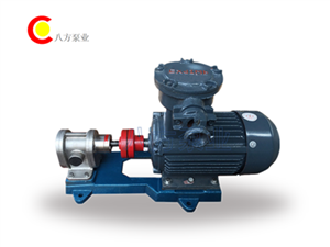 2CY不鏽鋼齒輪泵