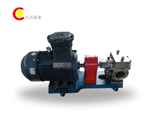 齒輪泵-不鏽鋼泵