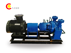 AY離心油泵-AY離心油泵