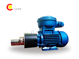 WXF不鏽鋼（gāng）齒輪泵-微型不（bú）鏽鋼齒輪泵-微型齒輪泵