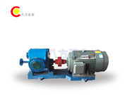 BWCB保溫泵-BWCB保溫泵