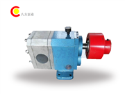 WRJ齒（chǐ）輪泵-WRJ外潤滑齒輪泵-WRJ外潤（rùn）滑齒輪泵