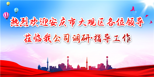 安慶市大觀區領導蒞臨我公司調研工作，為發展注入新（xīn）動力